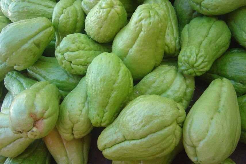 La Chayote se consomme en légume ou de façon sucrée