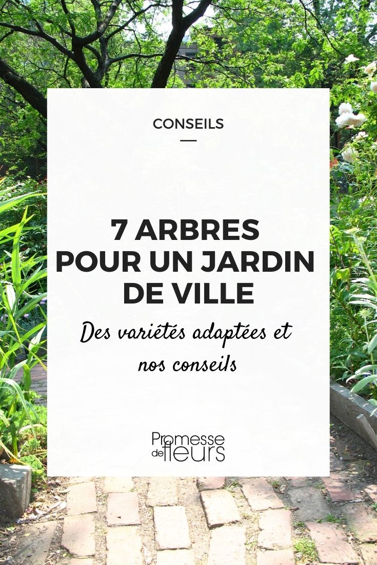 7 arbres pour jardin de ville