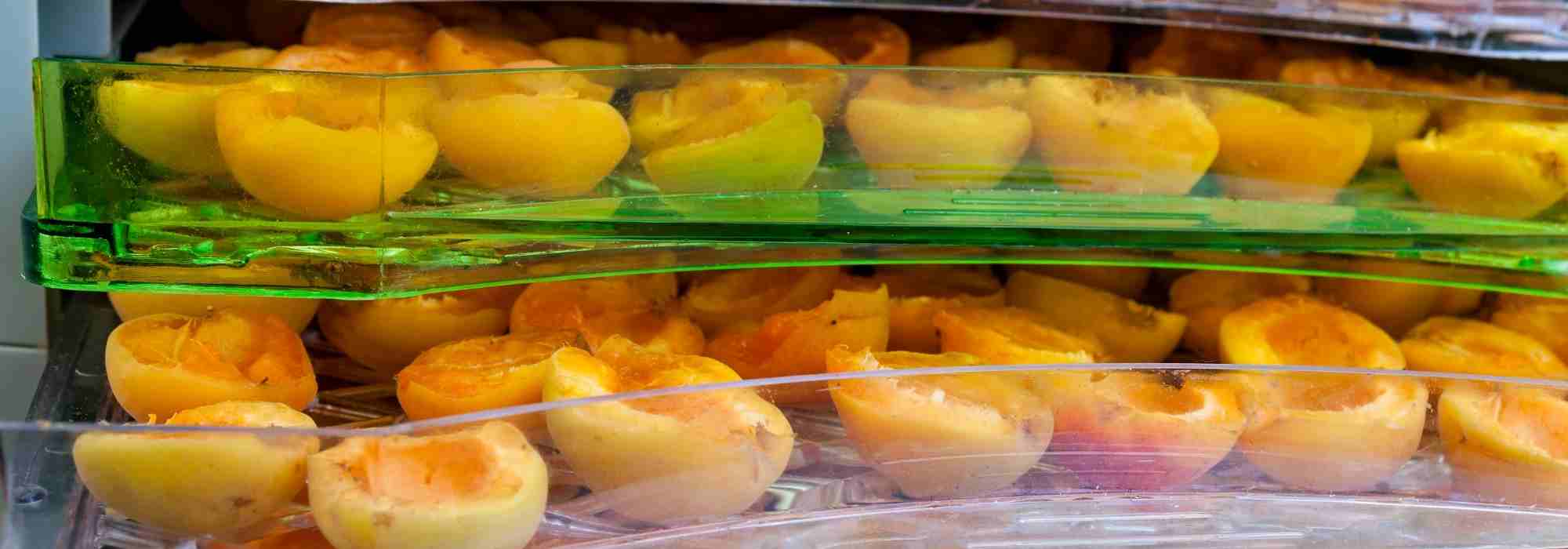 comment faire sécher des abricots, séchage abricots