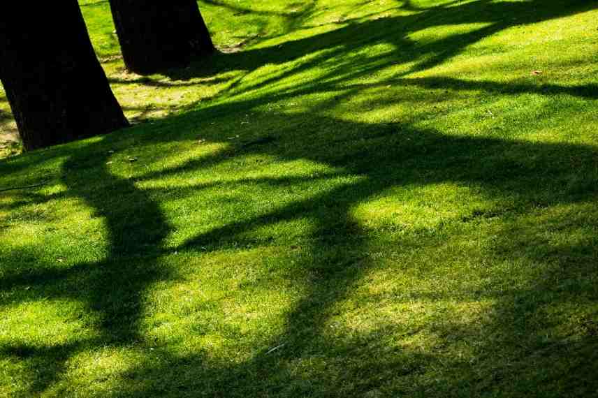 Amenager un petit jardin en ville, jardin de ville, jardin urbain