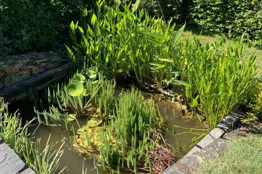 microclimats au jardin