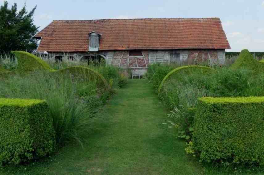 Miscanthus, eulalie, roseau de Chine, meilleures varietes, plus belles varietes, plus beaux