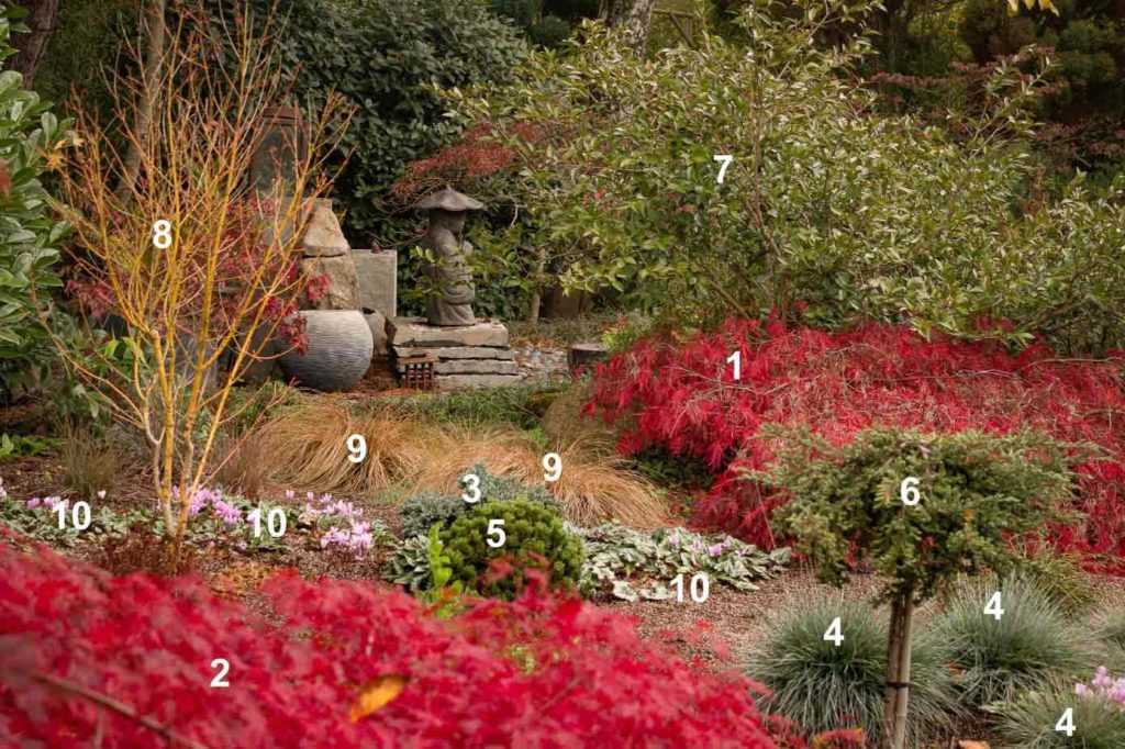 Jardin esprit zen en automne