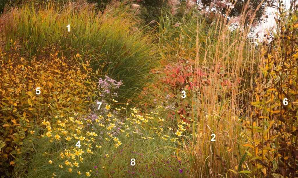 Prairie naturaliste en automne