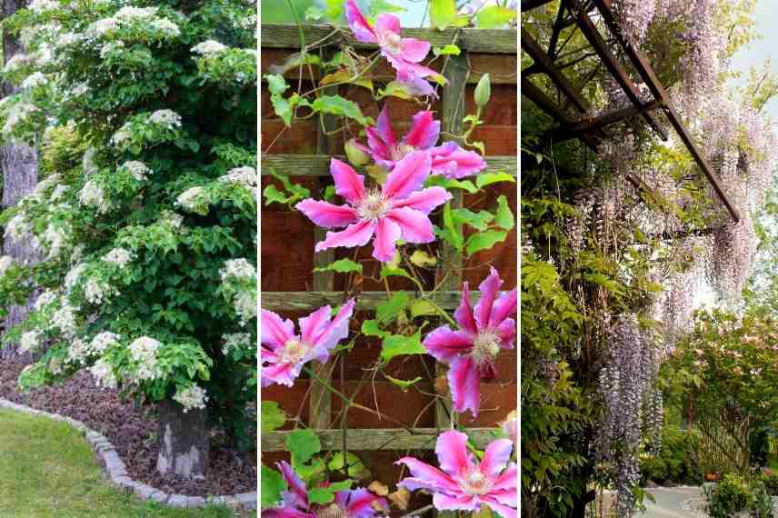 Amenager un petit jardin en ville, jardin de ville, jardin urbain