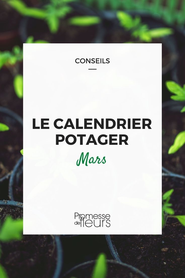 Calendrier potager - Mars - Promesse de Fleurs