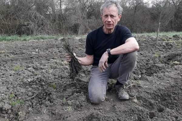 Interview de Dominique Brochet : le spécialiste des plantes de sol calcaire et rustiques