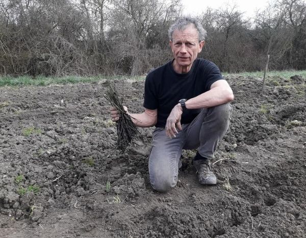 Interview de Dominique Brochet : le spécialiste des plantes de sol calcaire et rustiques