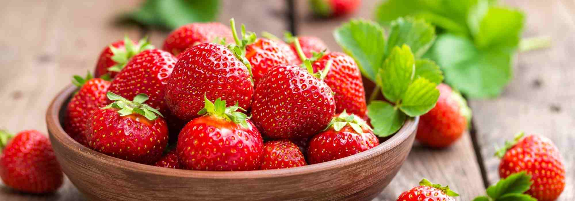 multiplication fraises, multiplication fraisiers, renouveler fraisiers