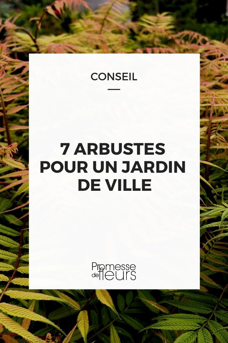 Récolter et conserver des noisettes - Jardinet - Équipez votre jardin au  meilleur prix