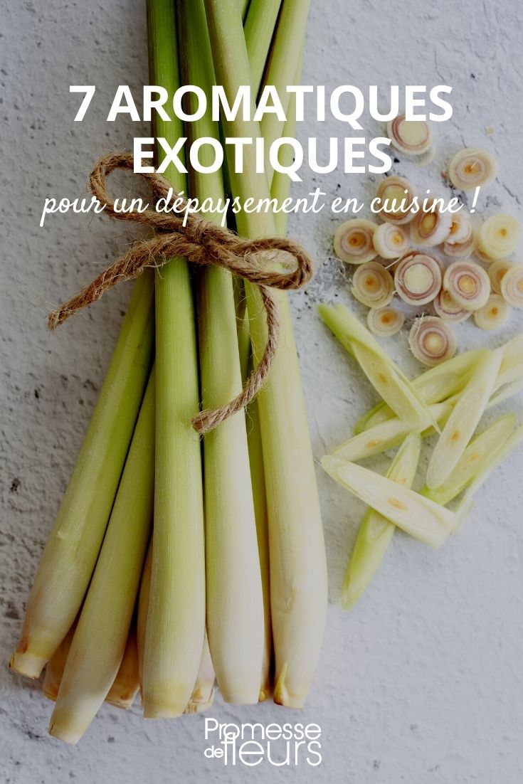 aromatiques exotiques