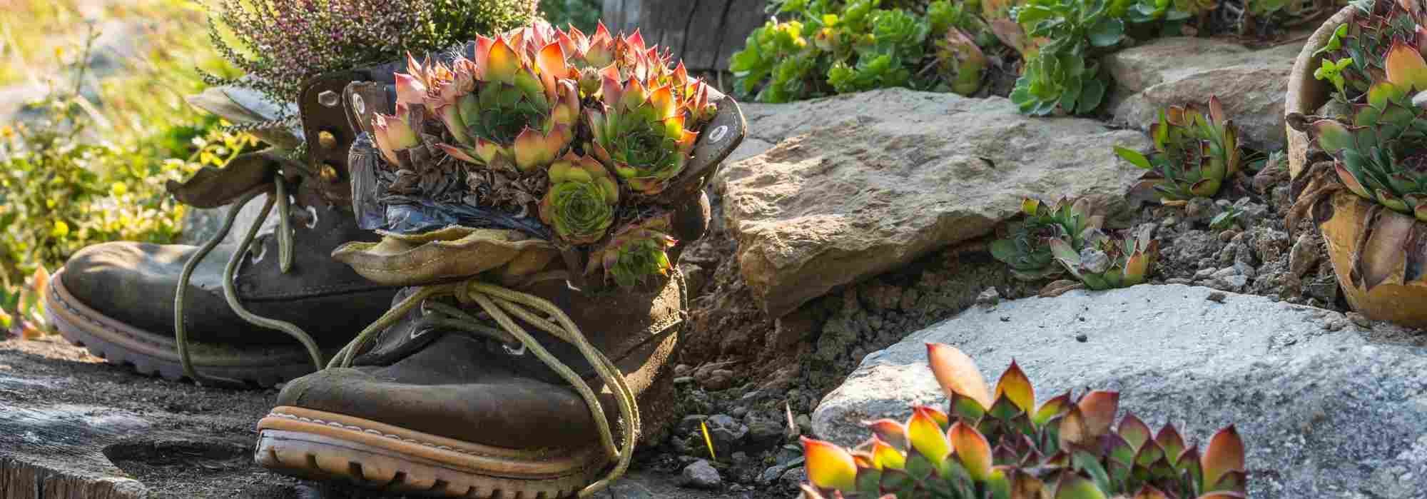 Décors en papier jardin magique pour faire pousser des plantes