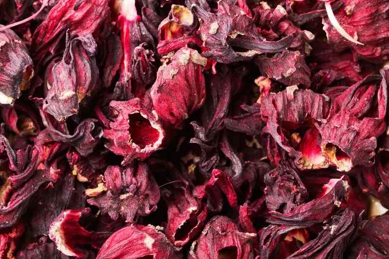 Arthémisia Topping : Fleurs d'hibiscus séchées