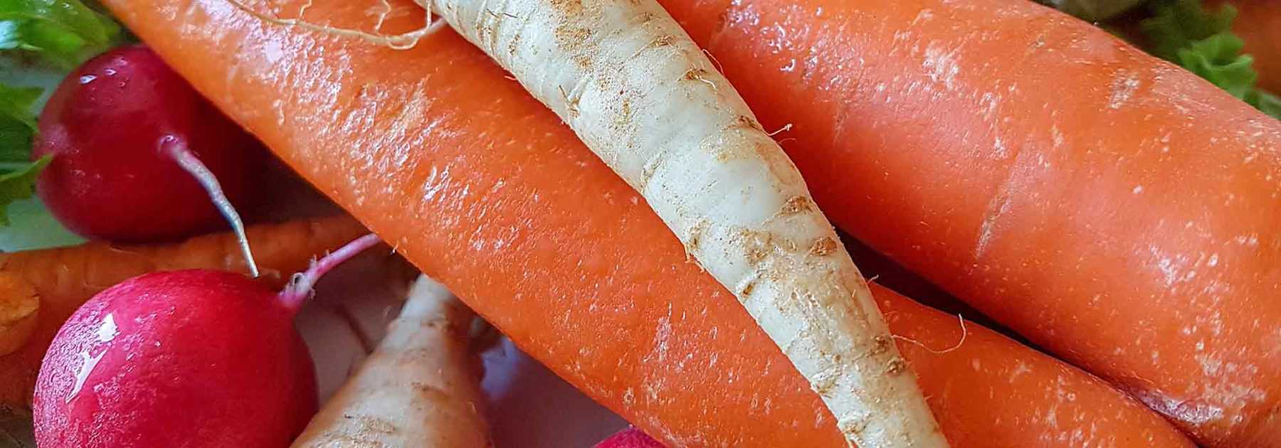 5 légumes racines pour potager en montagne