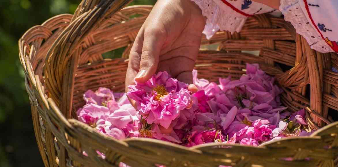 Achat Pot-pourri parfumé Rose dans un pot à épices en gros