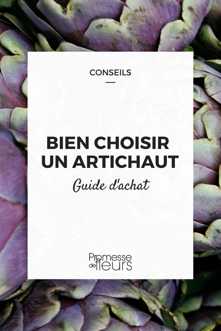 guide d'achat : artichaut