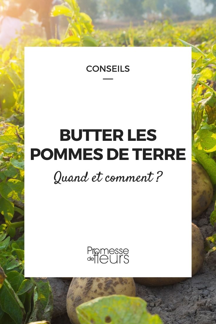 butter pommes de terre