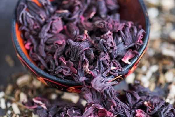 Comment faire sécher les fleurs d’hibiscus ?