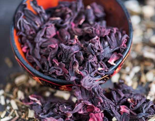 Comment faire sécher les fleurs d’hibiscus ?