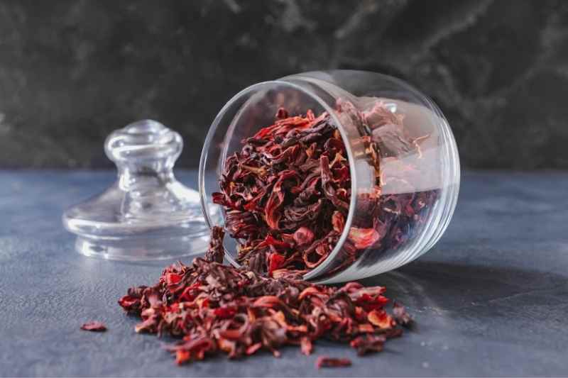 Fleur d'hibiscus séchée Bio, Bissap - Bienfaits, recettes, culture