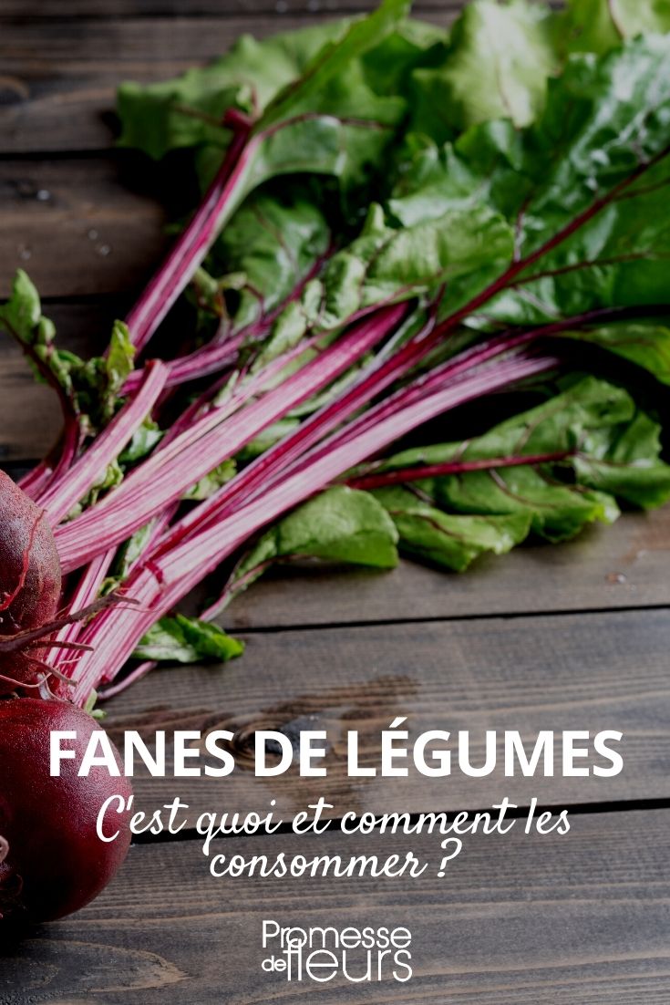 fanes de légumes