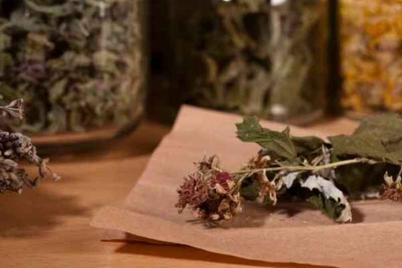 Tisane aux feuilles de framboisier, coupées, déshydratées en