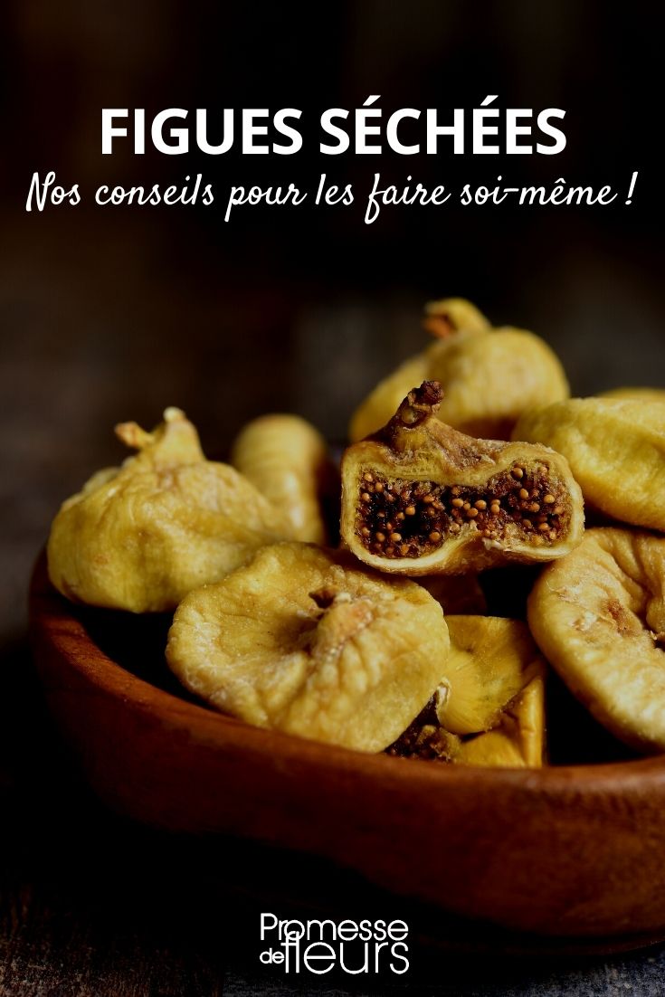 Comment faire sécher les figues ? - Promesse de Fleurs