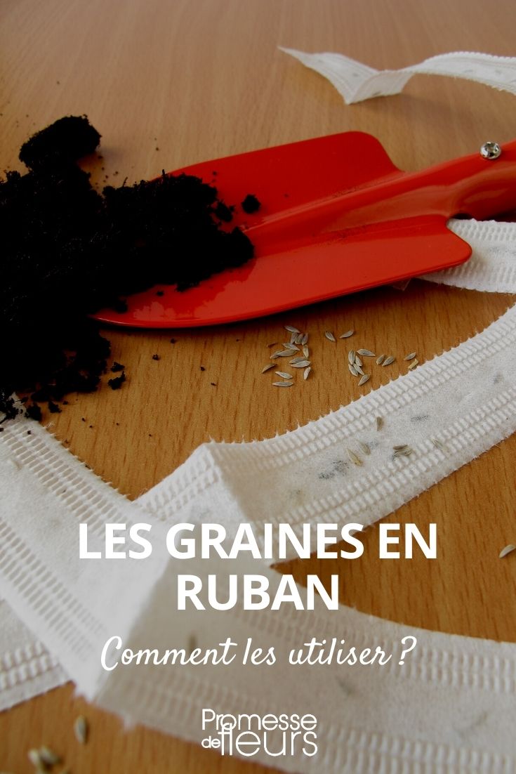 semer des graines en ruban