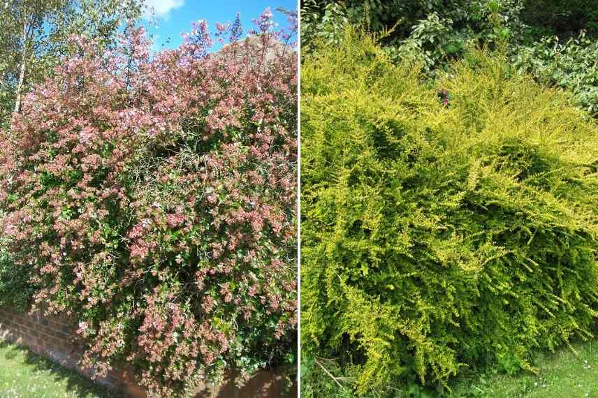 5 façons de cacher votre bac à compost  Composteur bois, Jardin naturel,  Composteur