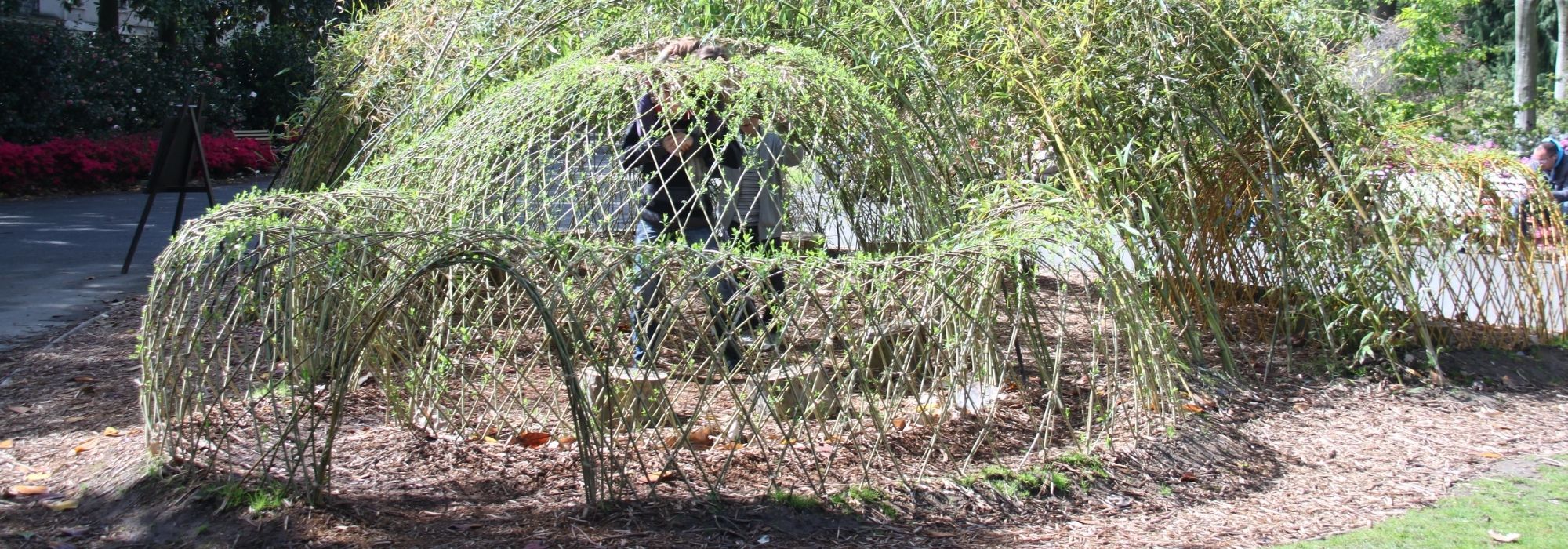 Comment faire une cabane en osier vivant ?