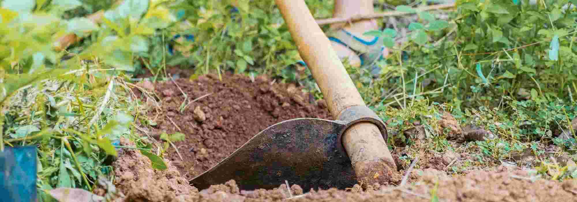 Pelle de jardinage agricole domestique, outils de jardinage