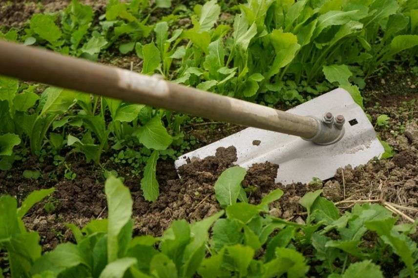 Houe et pioche : pour les gros travaux au jardin