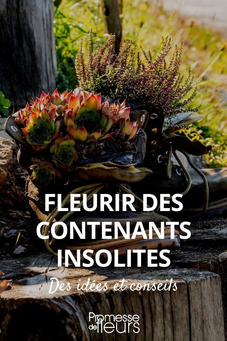 Grandes bidons d'eau pour plantes d'intérieur, grande capacité, 1