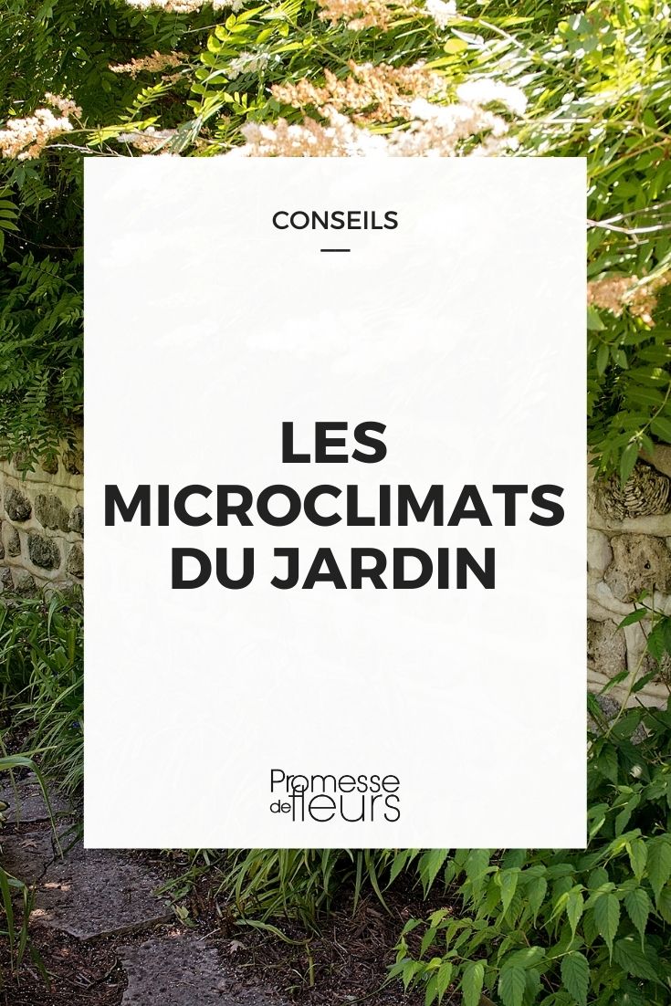 microclimats jardin