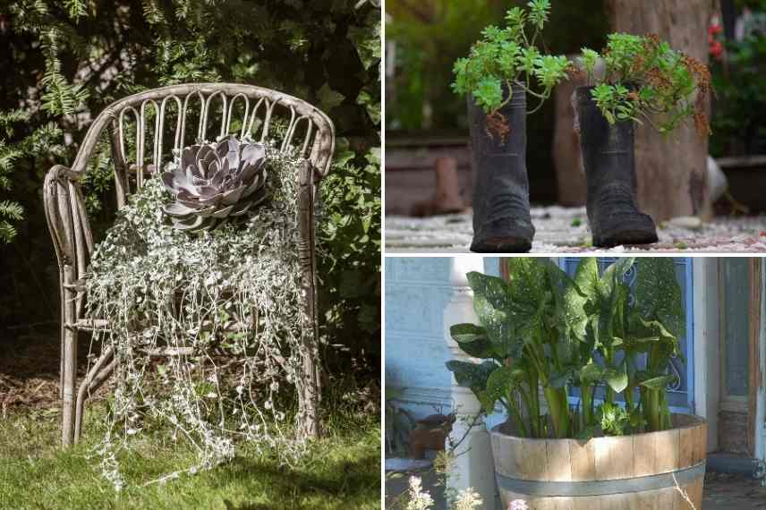 Idée déco : des plantes dans des contenants insolites - Promesse de Fleurs