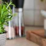 Quelles plantes aromatiques faire pousser en intérieur ?