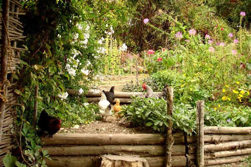 Créer un potager en paliers