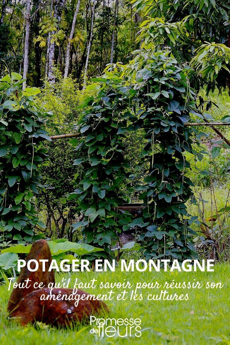 permaculture en montagne