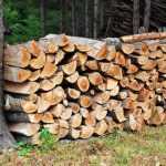 Comment protéger son tas de bois ? Nos conseils pour qu'il sèche bien