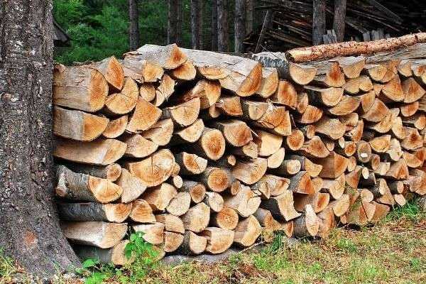 Comment protéger son tas de bois ? Nos conseils pour qu'il sèche bien