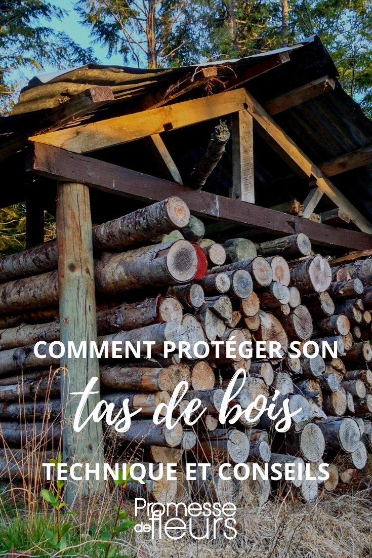 COMMENT PROTÉGER SON BOIS DE CHAUFFAGE ?