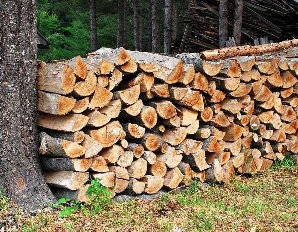 Comment fendre du bois sans effort grâce aux forets de fendage