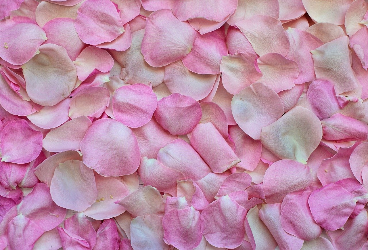 Fleurs comestibles sechées Pétales de roses - Perle Dorée