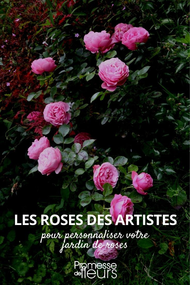 rosiers portant des noms d'artistes peintre