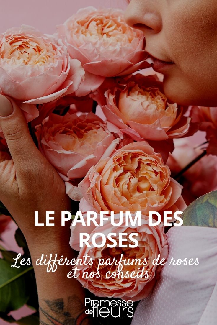 parfum des roses