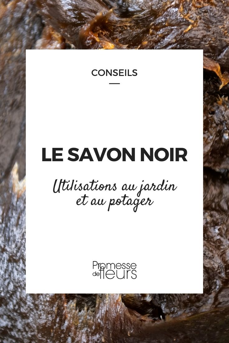 Le savon noir pour le jardin et le potager - Promesse de Fleurs