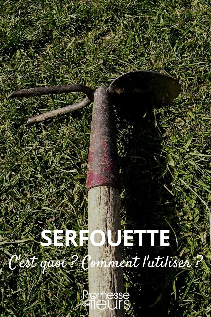 serfouette