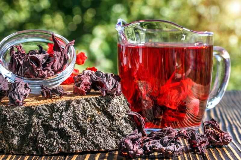 Comment faire sécher les fleurs d'hibiscus ? - Blog Promesse de fleurs