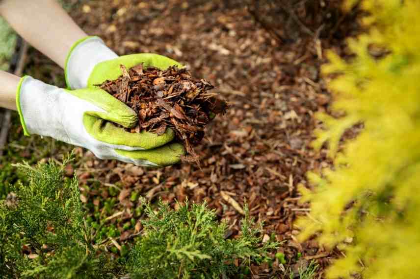 nouvelles toiles de paillage biodegradable, paillage lin, paillage chanvre, paillage laine, paillage coco, paillage lin