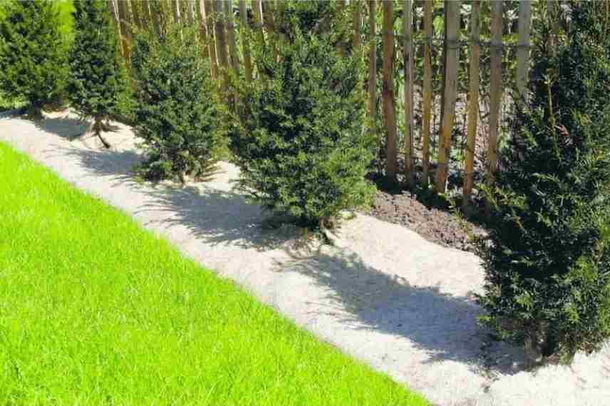 Paillage Jardin - Vente en ligne de paillage naturel pour les jardins